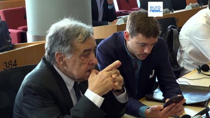 MEPs Orlando and Schilling: Half a century apart in age, united in their ideas