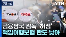 '티몬·위메프 사태' 못막은 금융당국...곳곳 '허점' / YTN