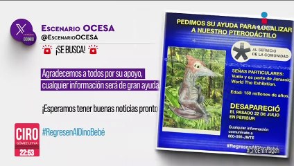 Ocesa busca la pieza de pterodáctilo de dos millones de pesos que fue robada