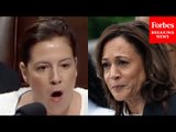 Elise Stefanik Lets Loose On Kamala Harris Over 'Failed Far-Left Open Border Agenda'