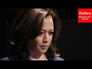Media Is Failing To Discuss The Kamala Harris's 'Disaster' Campaign For 2020 Nomination: Frank Luntz