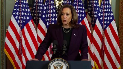 해리스, 네타냐후에 "가자지구 심각한 우려" / YTN