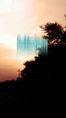 Did you know that how to live? Positive news 2024