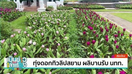 ปลาเผาข้างวัดรสเด็ด ลูกค้าแน่น | เป็นข่าวเล่าเรื่อง | 26 ก.ค. 67 | PART 3