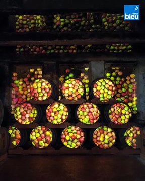 Spectacle son et lumière “La Part des Anges” au Château du Breuil