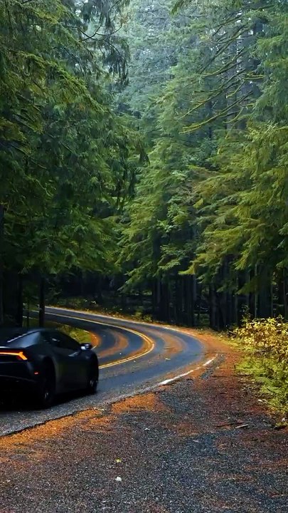 STIVEN black  super car newhighcar bugeti lovely  car