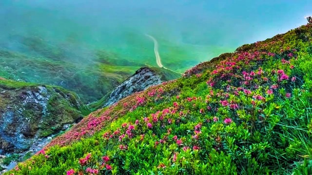 Exploring Nature | Part: 13 | Silent Nature View