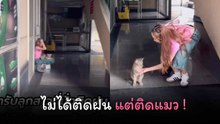 ติดฝนไม่เท่าไหร่ ติดใจน้องแมวว้าวุ่นเลย…