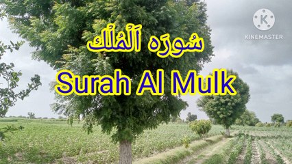 Surah Al Mulk | quran recitation | quran tilawat | learn quran |