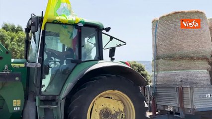 Coldiretti lancia "Donne per le donne", donato foraggio a produttrici vittime di incendi in Sardegna