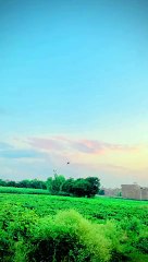 Rc mig 29 plane flying in my village #please #suportme #unfreezemyacount #foryou #foryou #foryou #tiktokpakistan #alihadarabadi110 #rcplanes