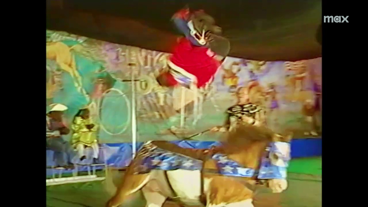 Chimp Crazy