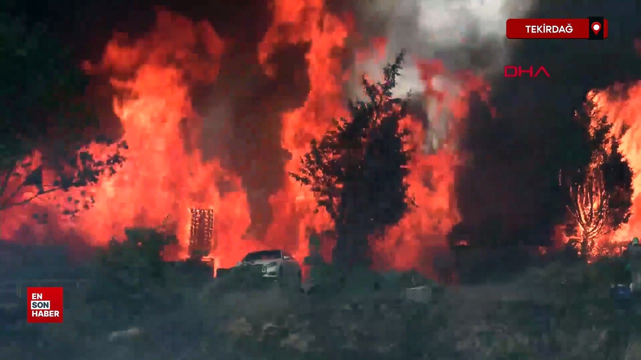 Tekirdağ'da anız yangını fabrikaya sıçradı