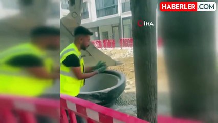 Büyükçekmece'de yürek ısıtan görüntü: Yuvasından düşen kumruyu kepçeyle ağaca bıraktılar