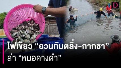 ไฟเขียว "อวนทับตลิ่ง-กากชา" ล่า "หมอคางดำ" อึ้งไร้ปลาท้องถิ่นปน | HOTSHOT เดลินิวส์ 26/07/67