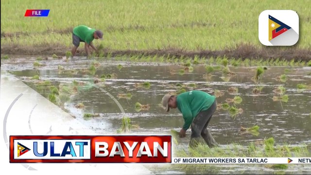 Pagpapatupad sa Anti-Agricultural Economic Sabotage Act, hiniling ng isang grupo
