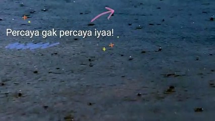 Watak Seseorang Yang Lahir Di Hari Senin!!