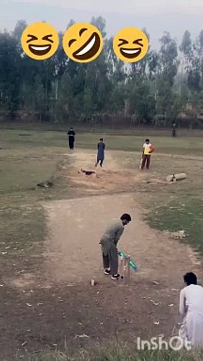 Funny video
