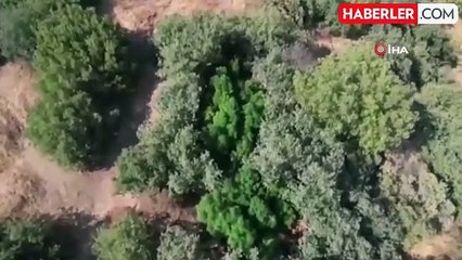 İzmir'de uyuşturucu operasyonları: 4 tutuklama