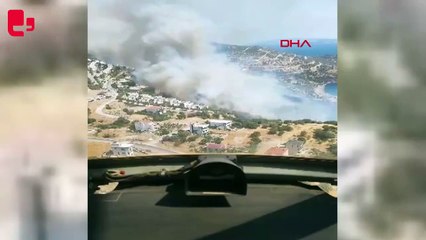 İzmir Dikili'de orman yangını: Bir site tahliye edildi