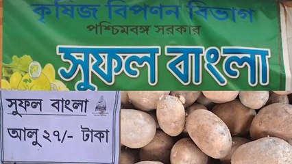 কিছুতেই সস্তা হচ্ছে না আলু! অগত্যা পকেট বাঁচাতে কী পন্থা নিচ্ছেন সাধারণ মানুষ?