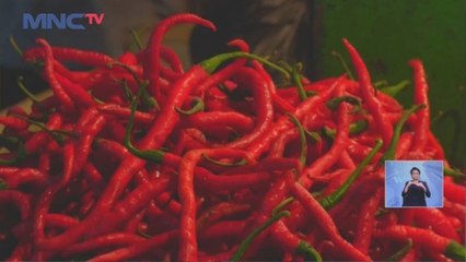 Harga Cabai Rawit Merah di Pasar Tebet Meroket, Harga Cabai Tembus 90 Ribu Rupiah