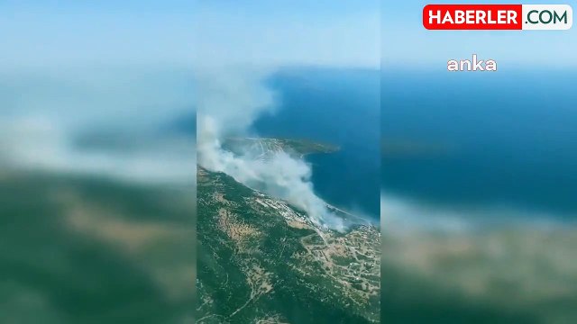 Dikili Çandarlı'da Ormana Sıçrayan Yangına Müdahale Ediliyor