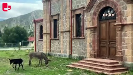Erzurum'da tarihi eserler büyükbaş hayvanların bağlandığı mekanlara dönüştü