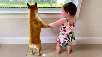 Funny Moments When Babies and Dogs Grow Up Together