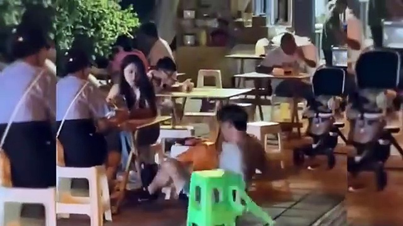 Funny Video