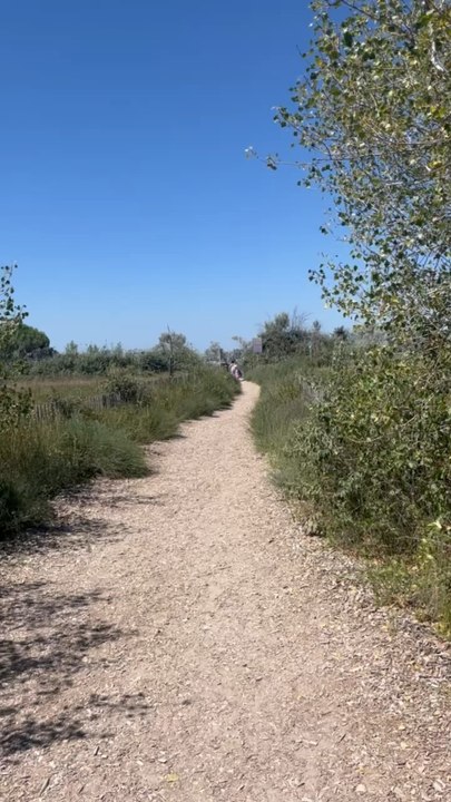 LES JOLIS ACCÉS aux plages du Petit Travers à Carnon