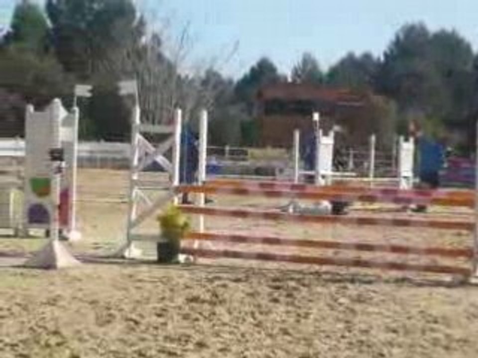 Concours centaure 13.04.2008 (57)