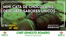 Mini Cata de Chocolates: Descubre Sabores Únicos