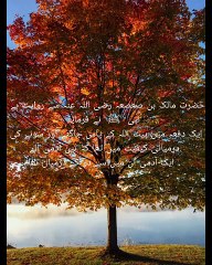 Hazrat Muhammad sw 7 asmano ki sair mukamal tafseel with Urdu translation