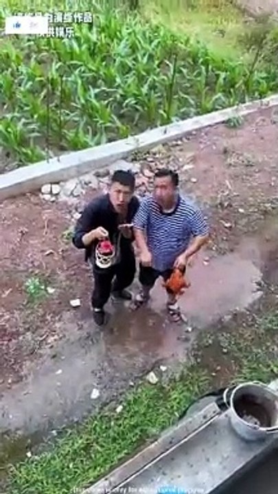funny video