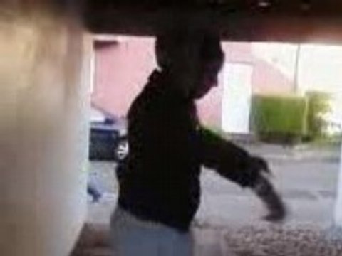 shéshé mode tecktonik