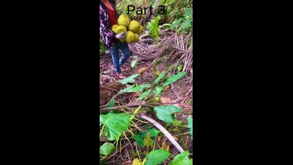 Allah Se Dosti Karo Aur Dekho Part 3