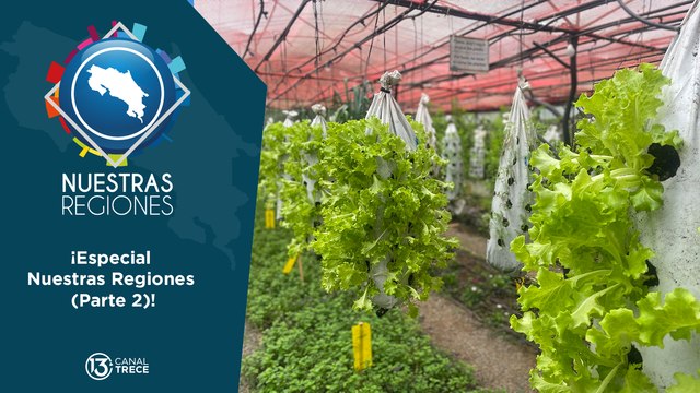 ¡Especial Nuestras Regiones (Parte 2)!