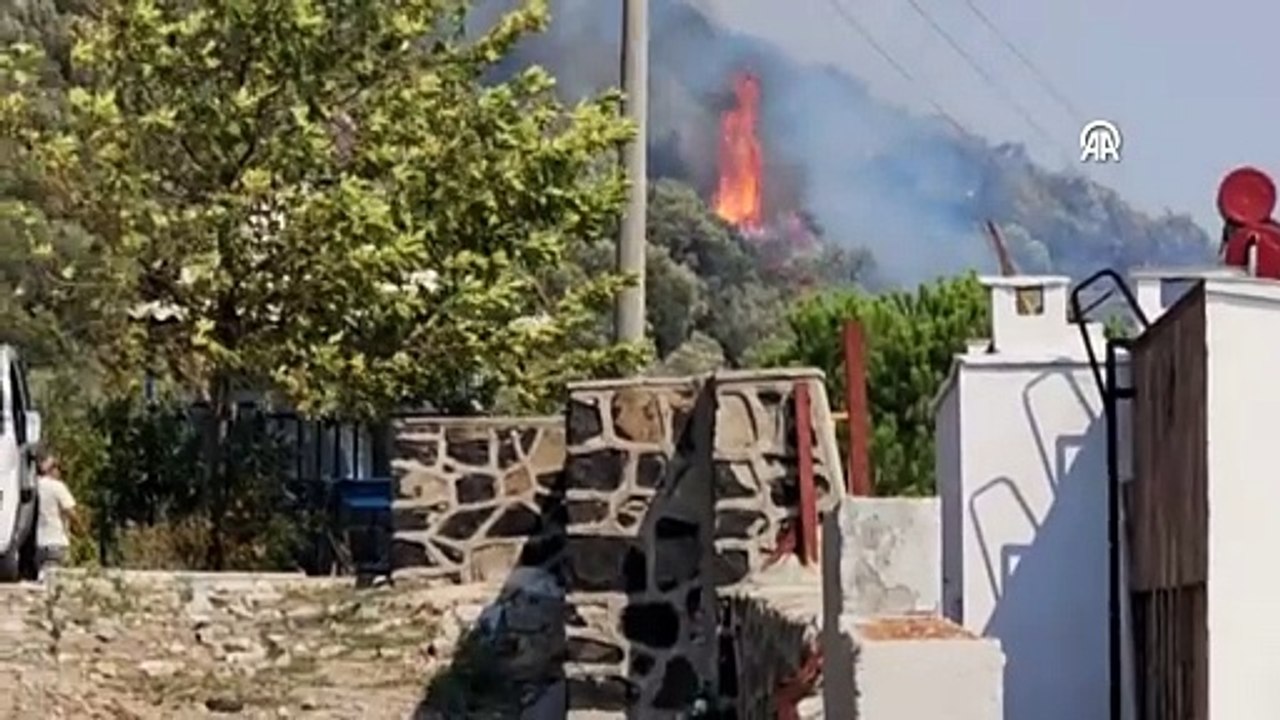 İzmir'de orman yangını: Evler tahliye edildi!