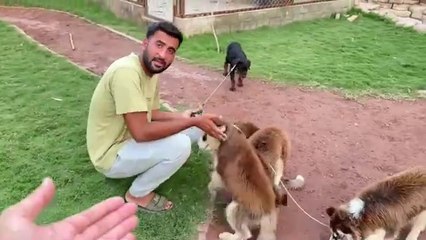 Jugoo ny Humla Kr Diya Bara Zalim Nikla Ye To