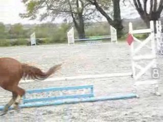 Emma et Alphée au concours d'entrainement