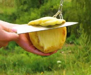Cheese please! Gouda good cheese tricks you'll love!