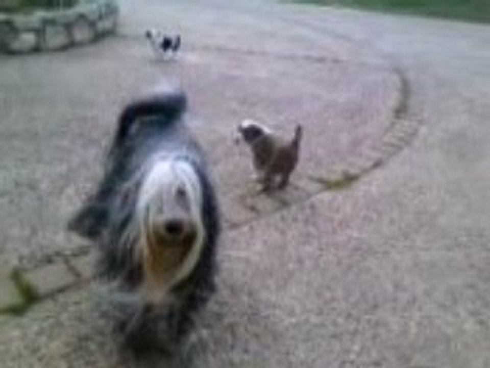 VIDEO_00020