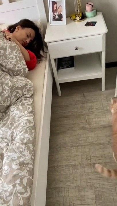 "Lady on the Bed, Cat on the Floor: A Mirror Knot Adventure"