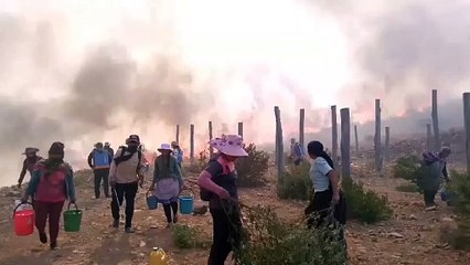 Comunarios intentan sofocar incendio en Pocona zona Chilijchi-gTq1x1QgX1VQZFFKiTyOO