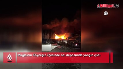 Muğla'da bal deposunda yangın çıktı