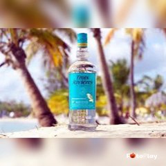 SYL STARE PROD.  SOIRÉE ARROSÉE.