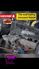VID-20240714-WA0171