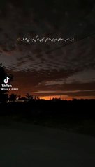 export_1719519230358