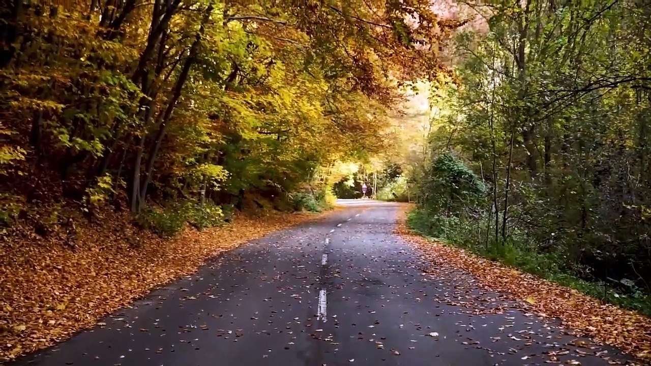 RELAXING IN PEACEFULL NATURE WITH THE MUSIC _calmmusic  _dream(720P_HD)